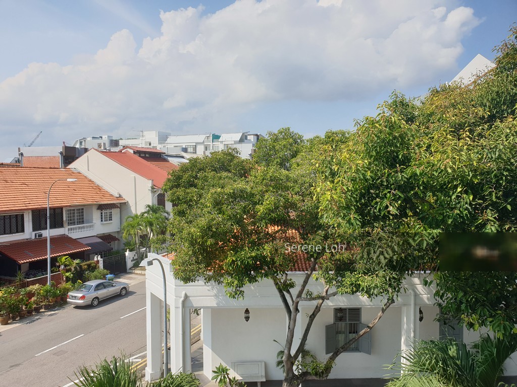 Joo Chiat Place (D15), Terrace #212683851